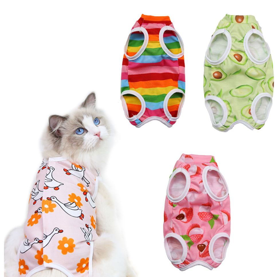 Chenpet Wholesale Pet Spay/Neuter Suit Pet Clothes Cat Clothes