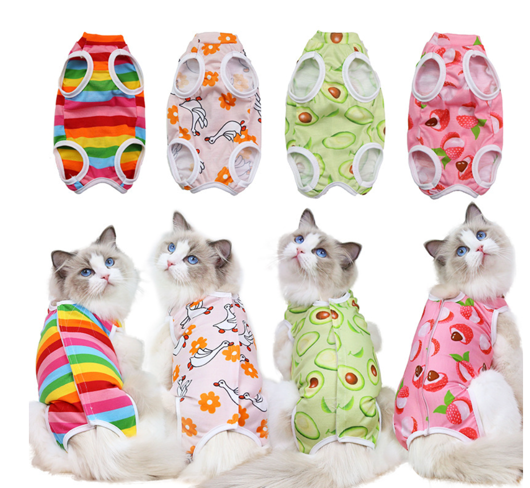 Chenpet Wholesale Pet Spay/Neuter Suit Pet Clothes Cat Clothes