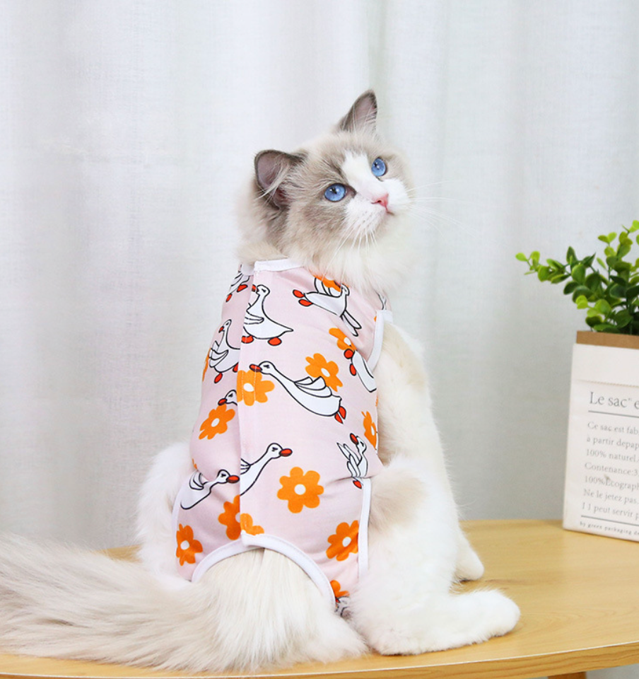 Chenpet Wholesale Pet Spay/Neuter Suit Pet Clothes Cat Clothes