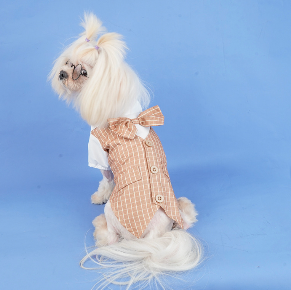 Chenpet Wholesale Striped Pet Couple Clothes Dog Clothes