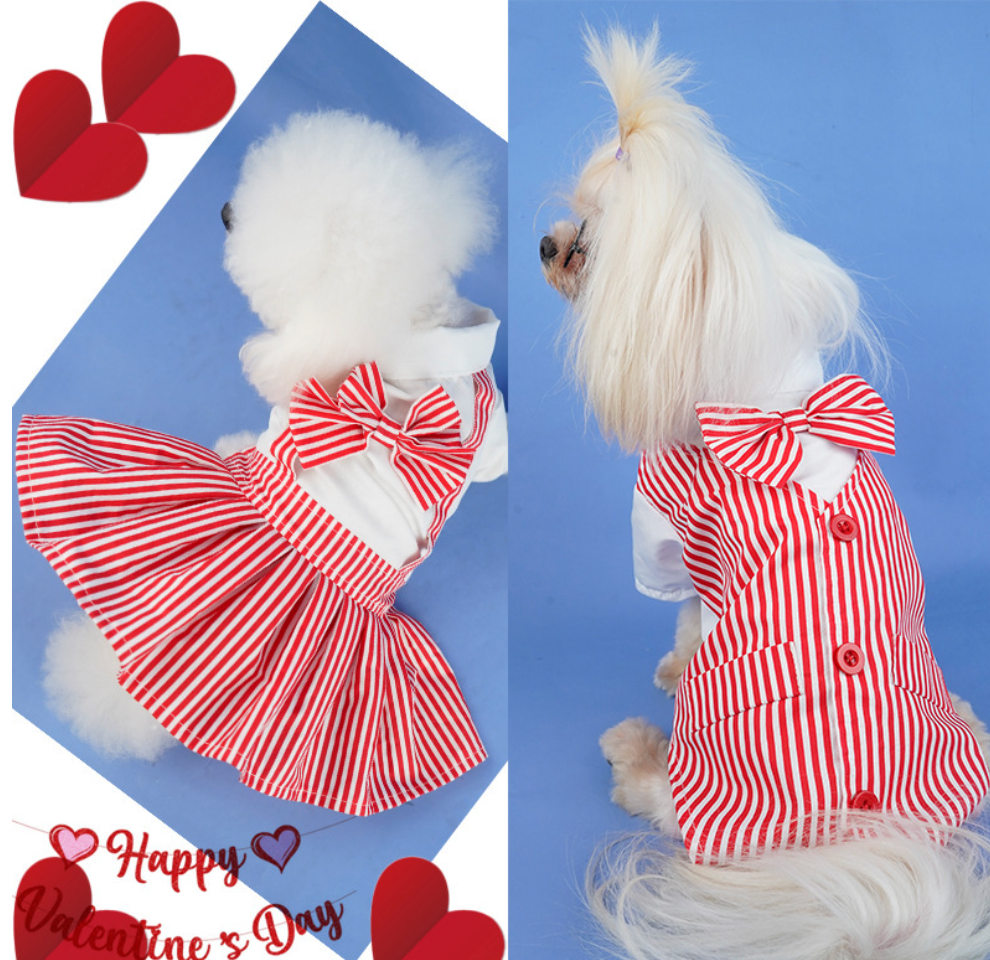 Chenpet Wholesale Striped Pet Couple Clothes Dog Clothes