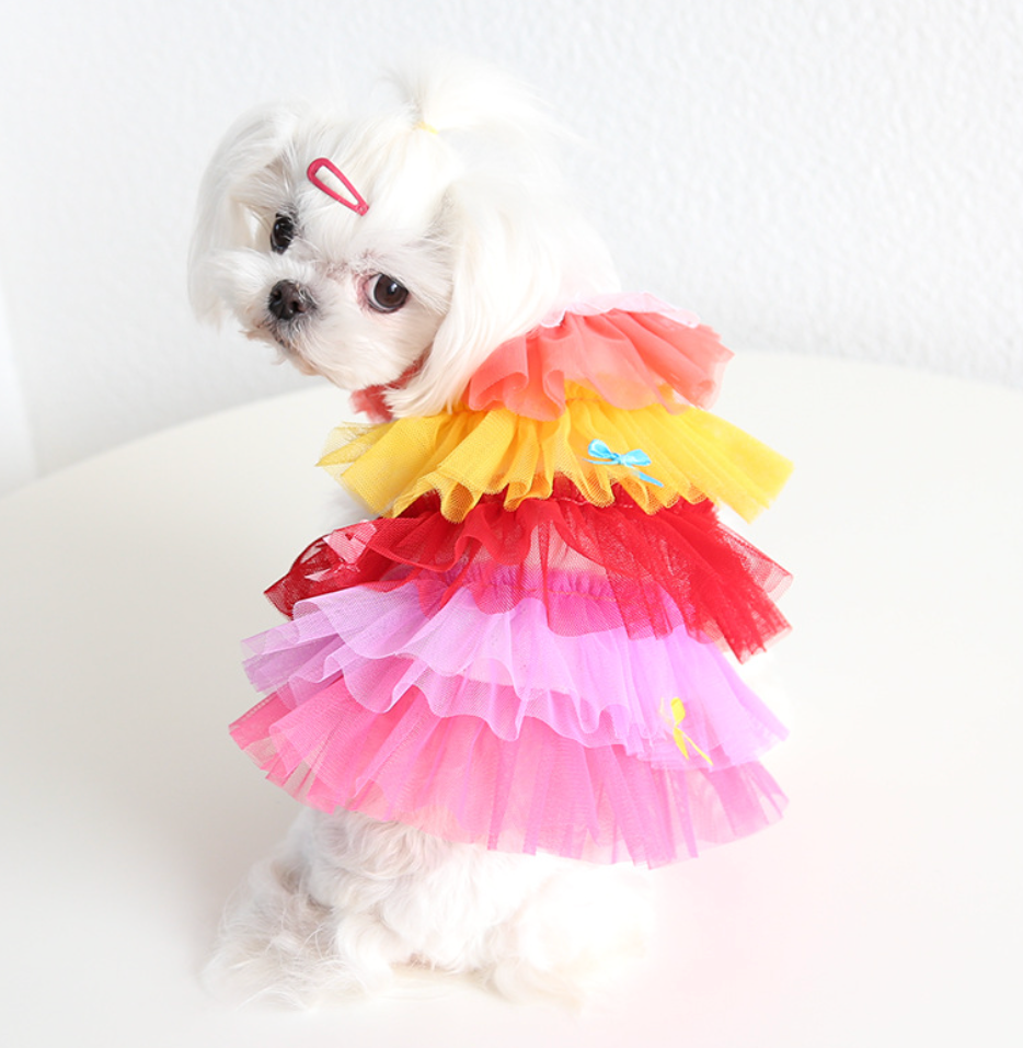 Chenpet High Quality Pet Dresses Dog Gradient Color Mesh Cake Dress