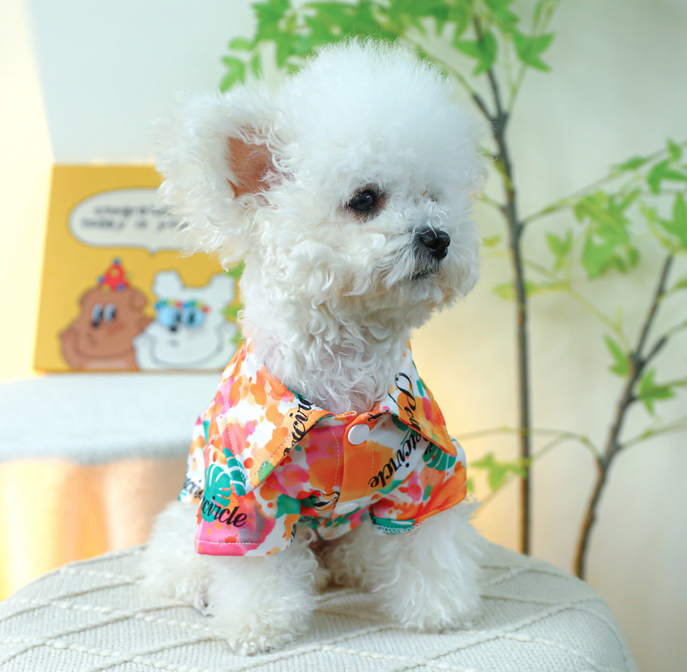 Chenpet New Design Spring & Summer Pet Clothes Dog Wear