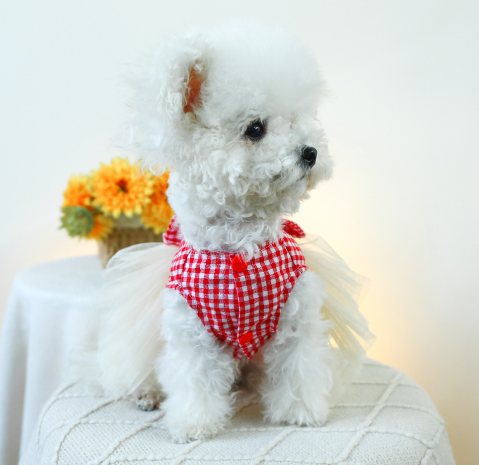 Chenpet Valentine's Day Heart Dog Wear Dresses