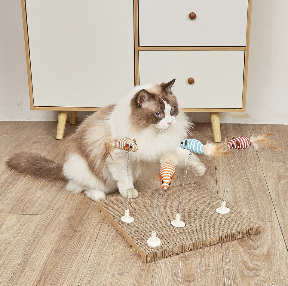 Chenpet Eco-friendly Hot Selling Pet Toys Cat Play Toys