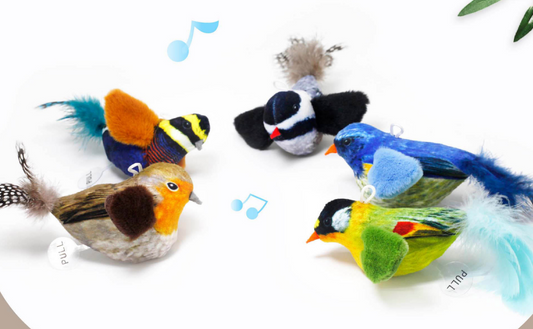 Chenpet Wholesale Birds Style Cat Play Toys