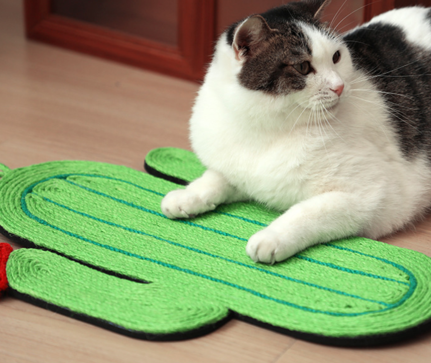 Chenpet Wholesale Cat Sisal Mat Cat Play Scratchers