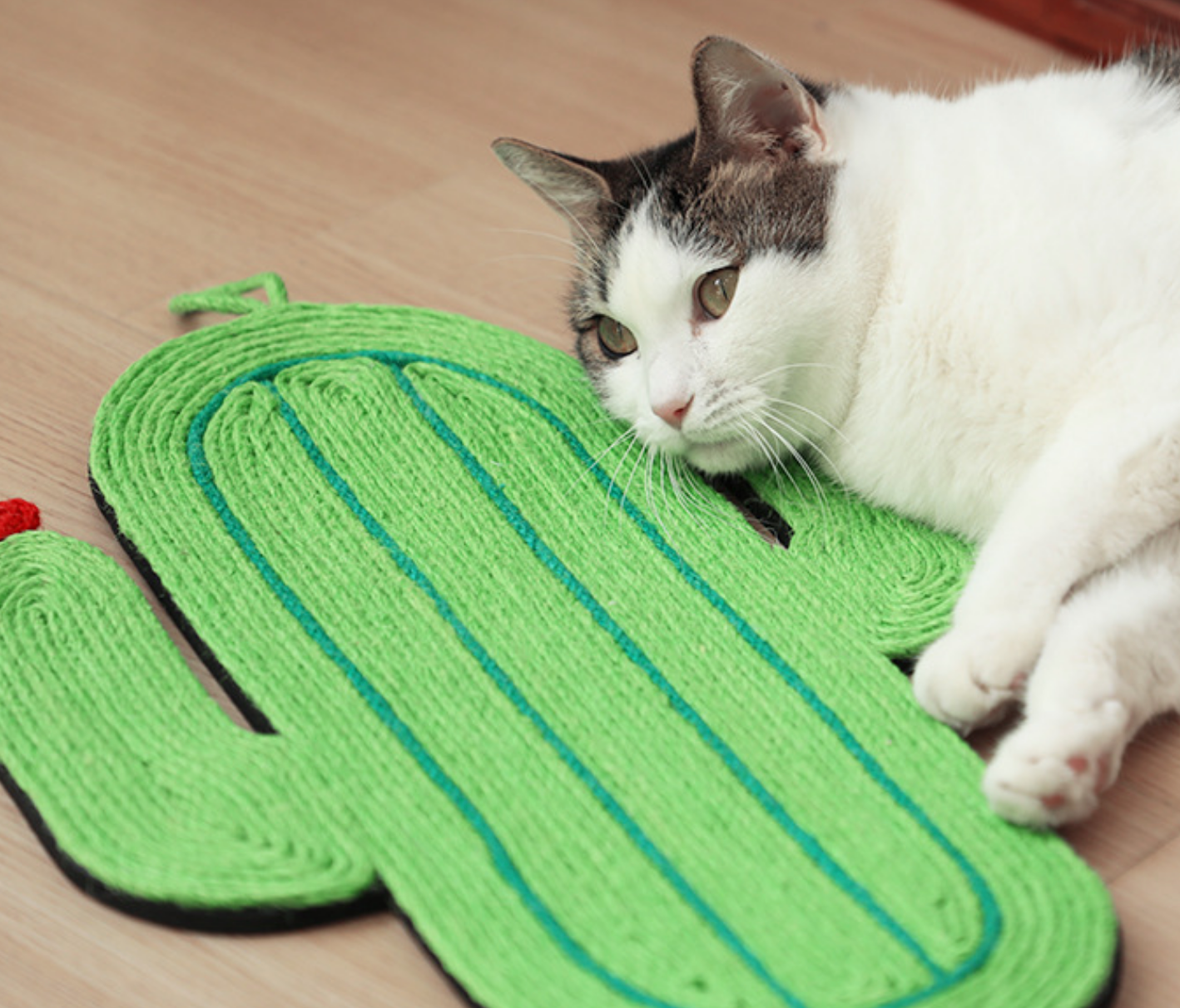 Chenpet Wholesale Cat Sisal Mat Cat Play Scratchers