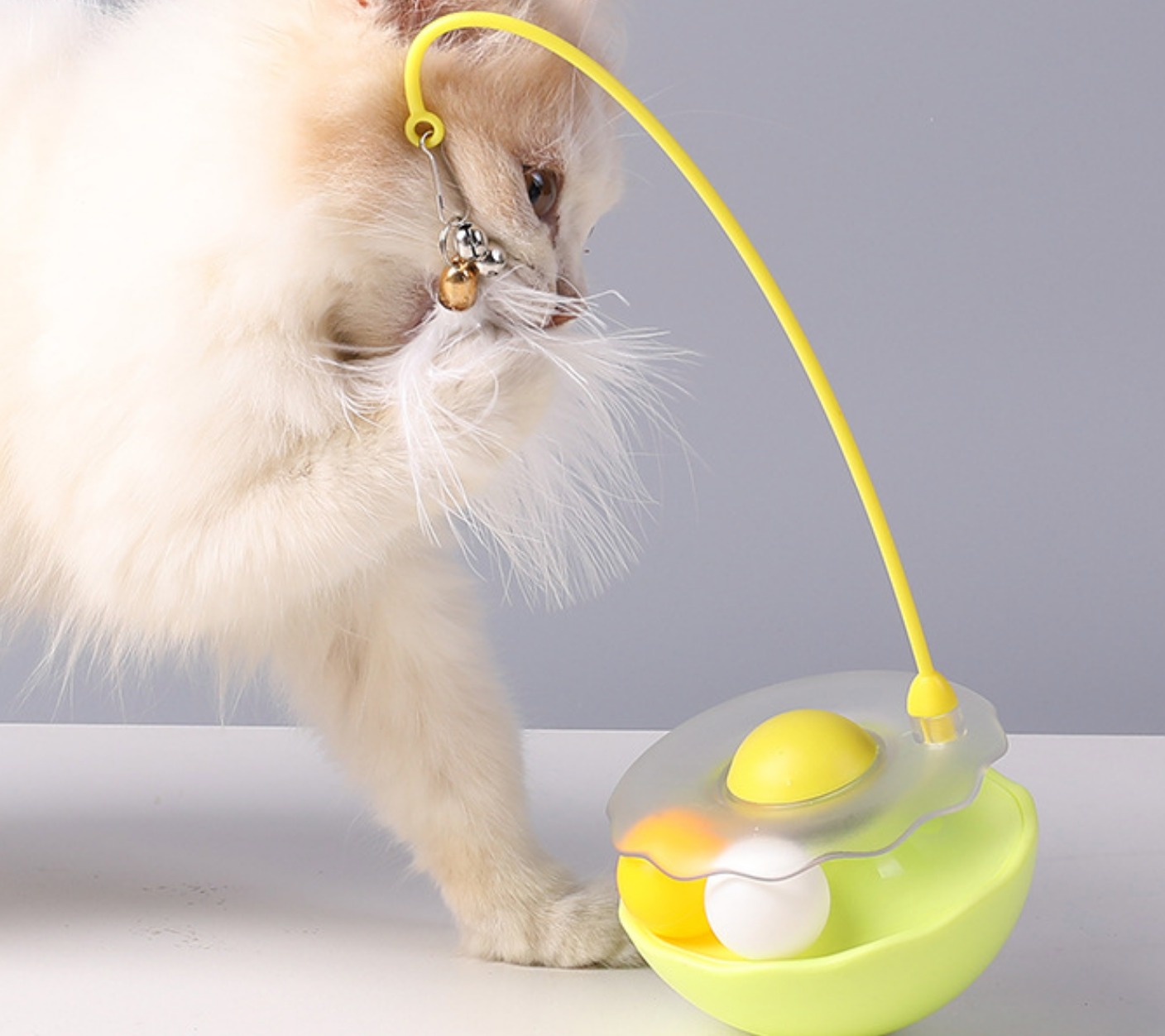 Chenpet New Arrival Tumbler Design Cat Play Toys