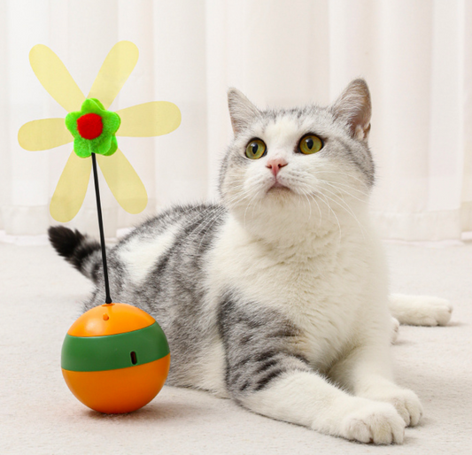 Chenpet New Design Pet Electric Cat Play Toys