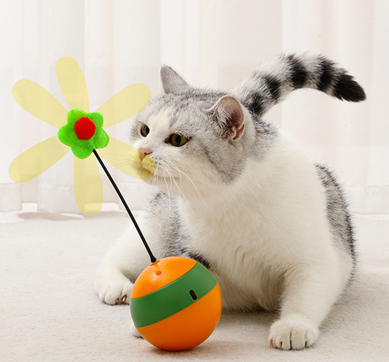 Chenpet New Design Pet Electric Cat Play Toys