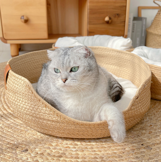 Chenpet Wholesale Naturel Breathable Pet Beds Cat Beds Dog Beds