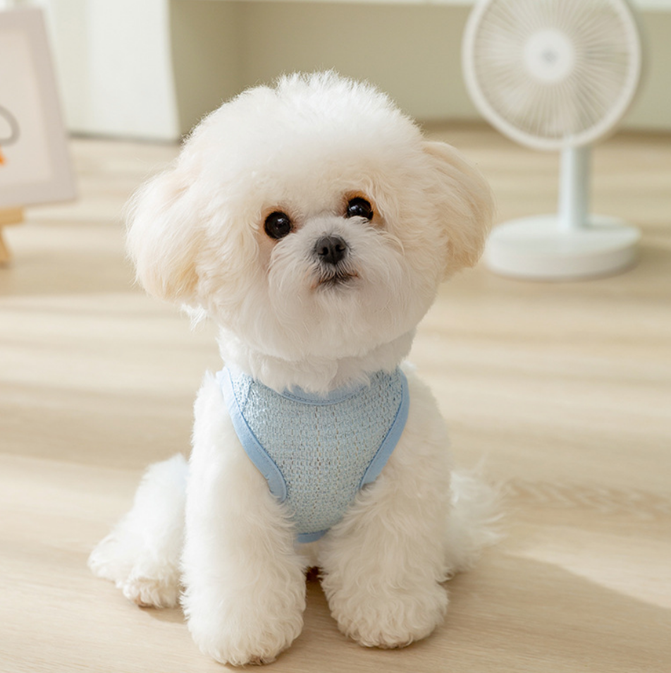 Chenpet Hot Selling Breathable Summer Pet Clothes Dog Wear