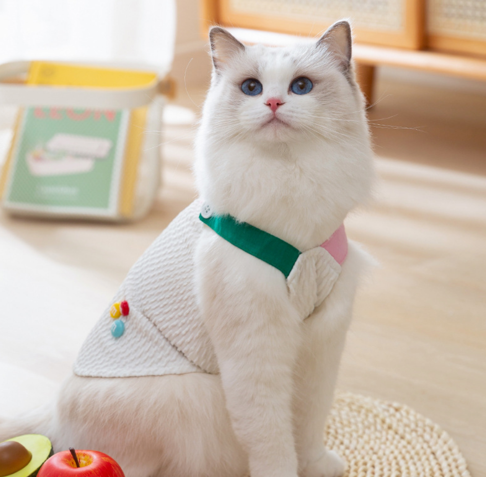 Chenpet Spring/Summer Thin Breathable Pet Carrier Clothes