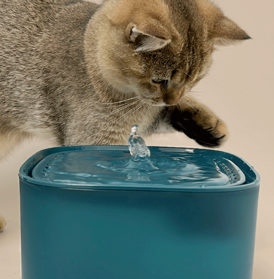 Chenpet Pet Water Dispenser Plug-In Smart Feeder for Cats