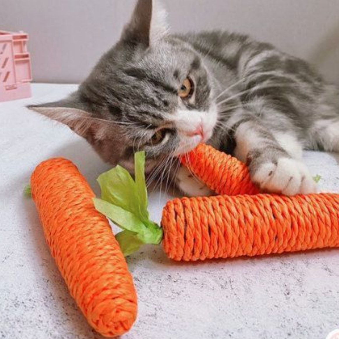 Chenpet Carrot Design Sisal Cat Play Toys Bunny Toy