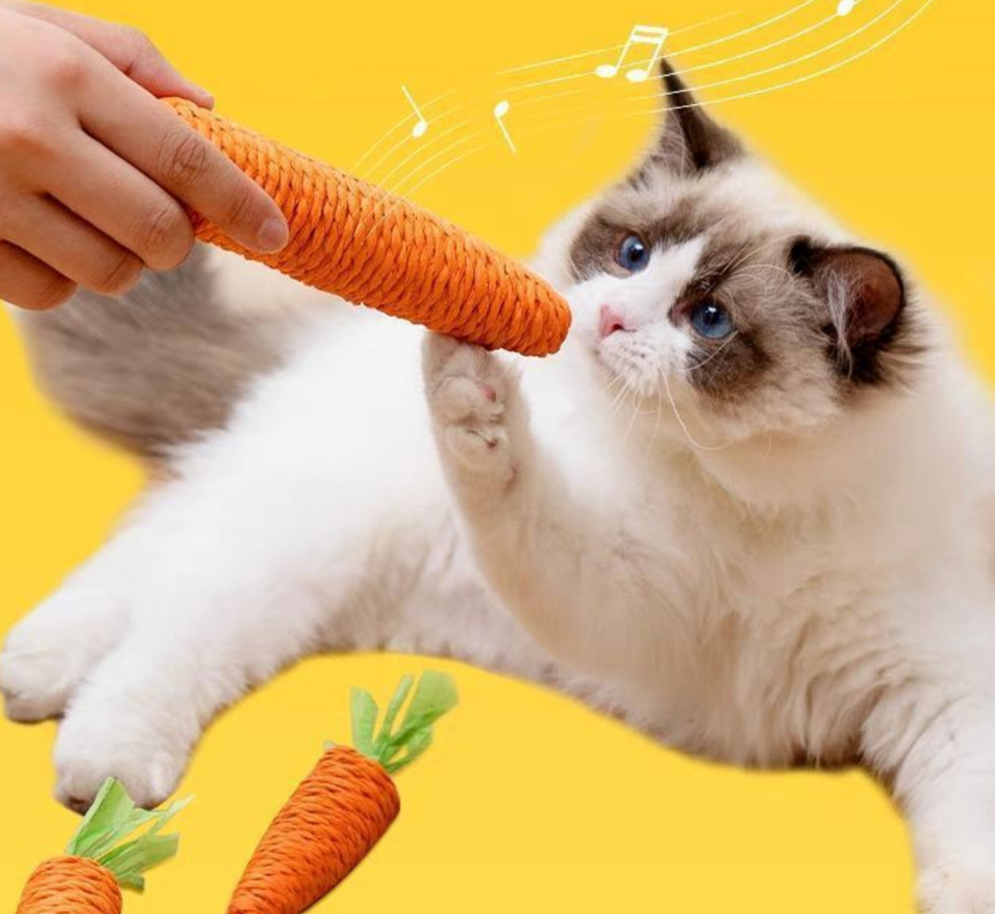 Chenpet Carrot Design Sisal Cat Play Toys Bunny Toy