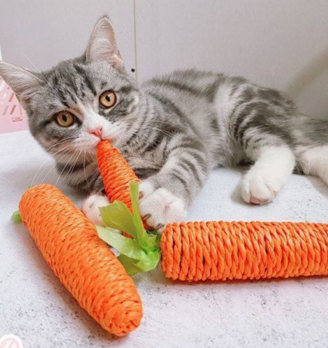 Chenpet Carrot Design Sisal Cat Play Toys Bunny Toy