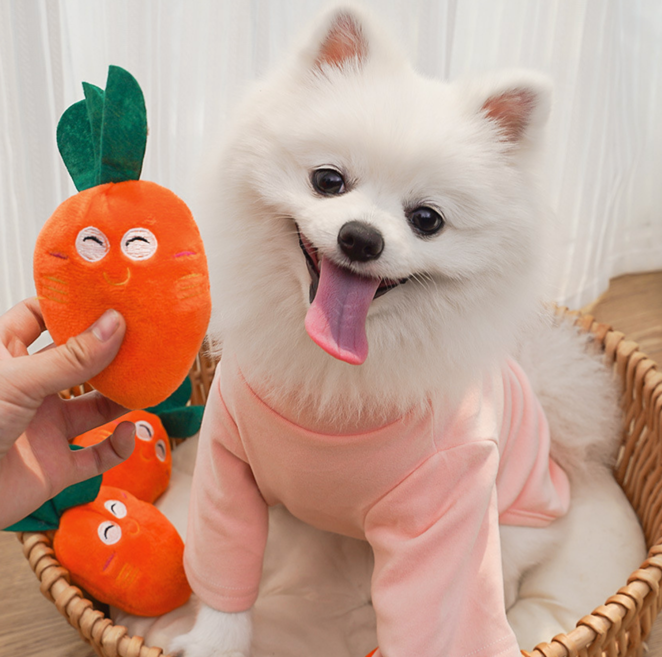 Chenpet Wholesale Carrot Design Pet Plush Dog Toys