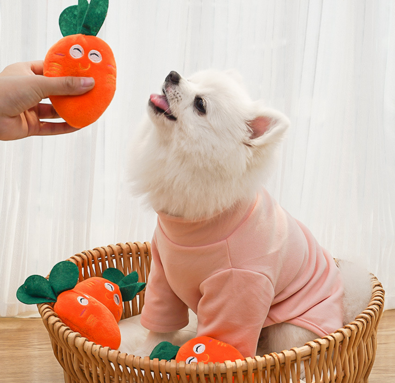 Chenpet Wholesale Carrot Design Pet Plush Dog Toys