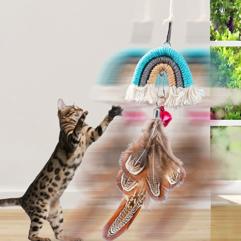 Chenpet Wholesale Feather Pet Cat Play Toys