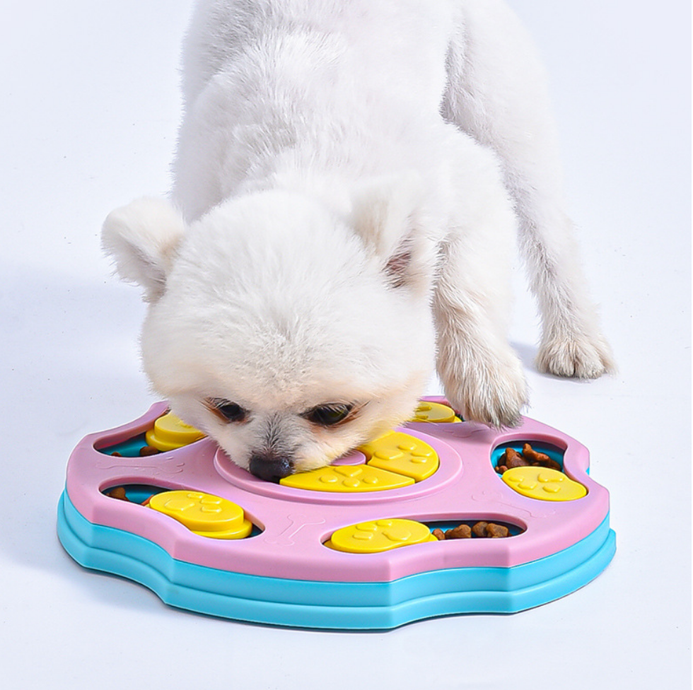 Chenpet Hot Selling PP Dog IQ Training Puzzle Bowls