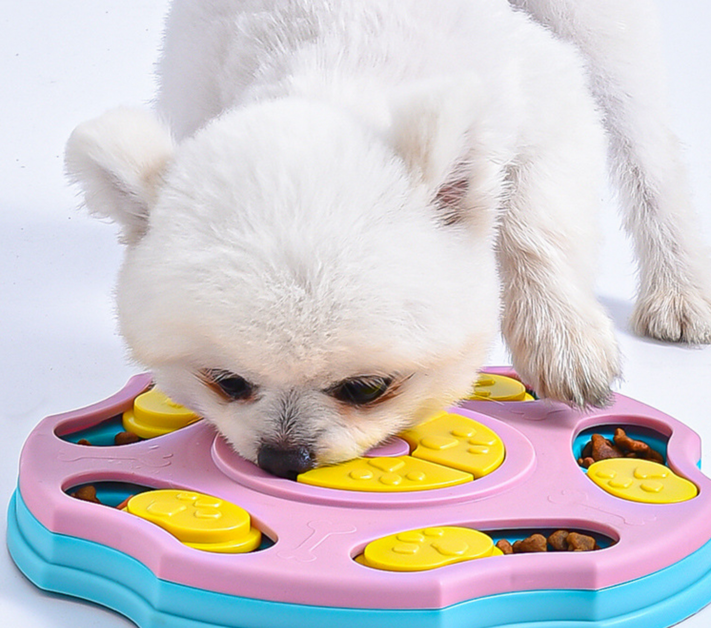 Chenpet Hot Selling PP Dog IQ Training Puzzle Bowls