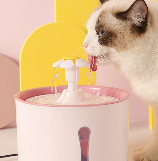 Chenpet Pet Intelligent Drinking Fountain Automatic Recirculation