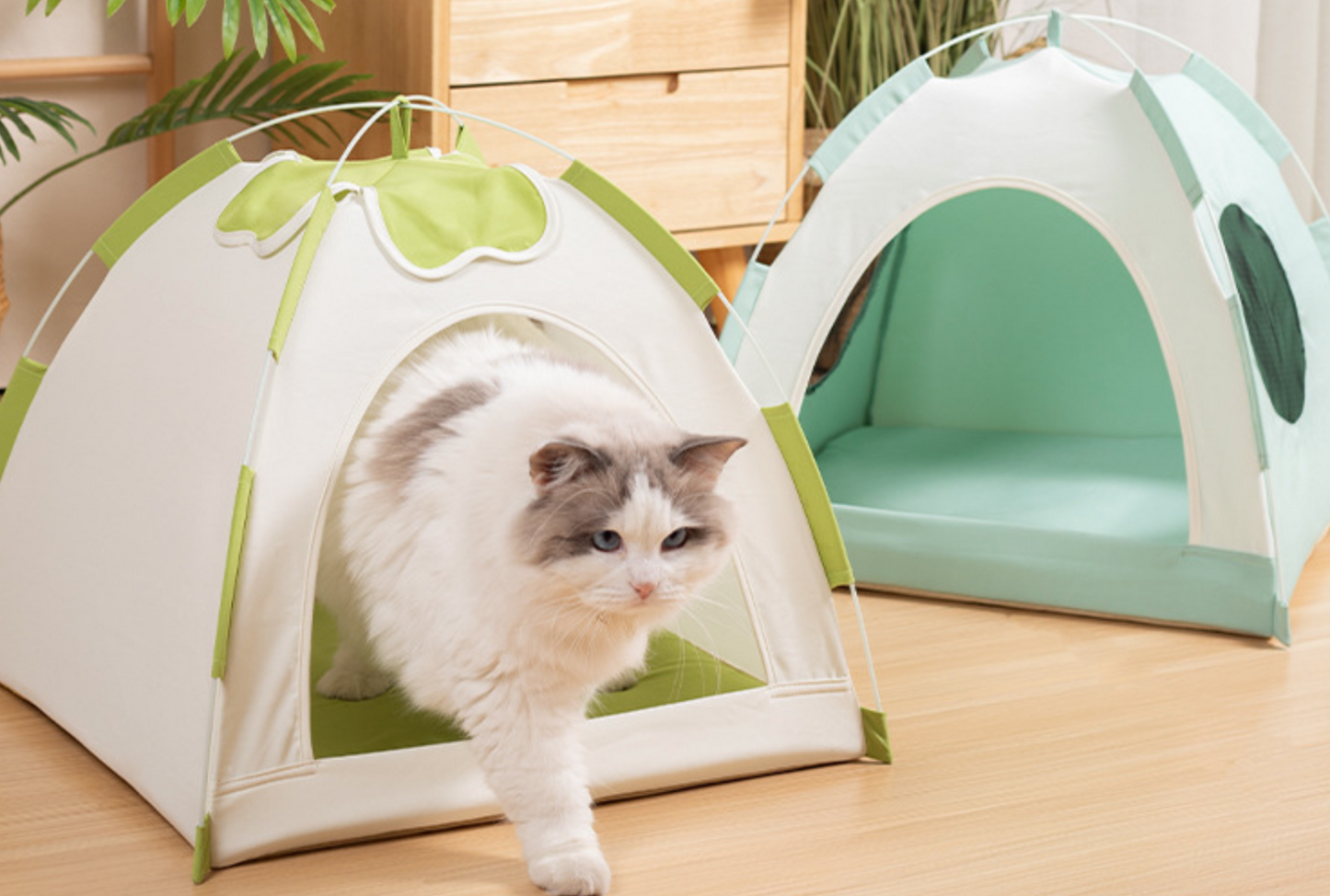 Chenpet Durable High Quality Breathable Cat Tents Pet Tents