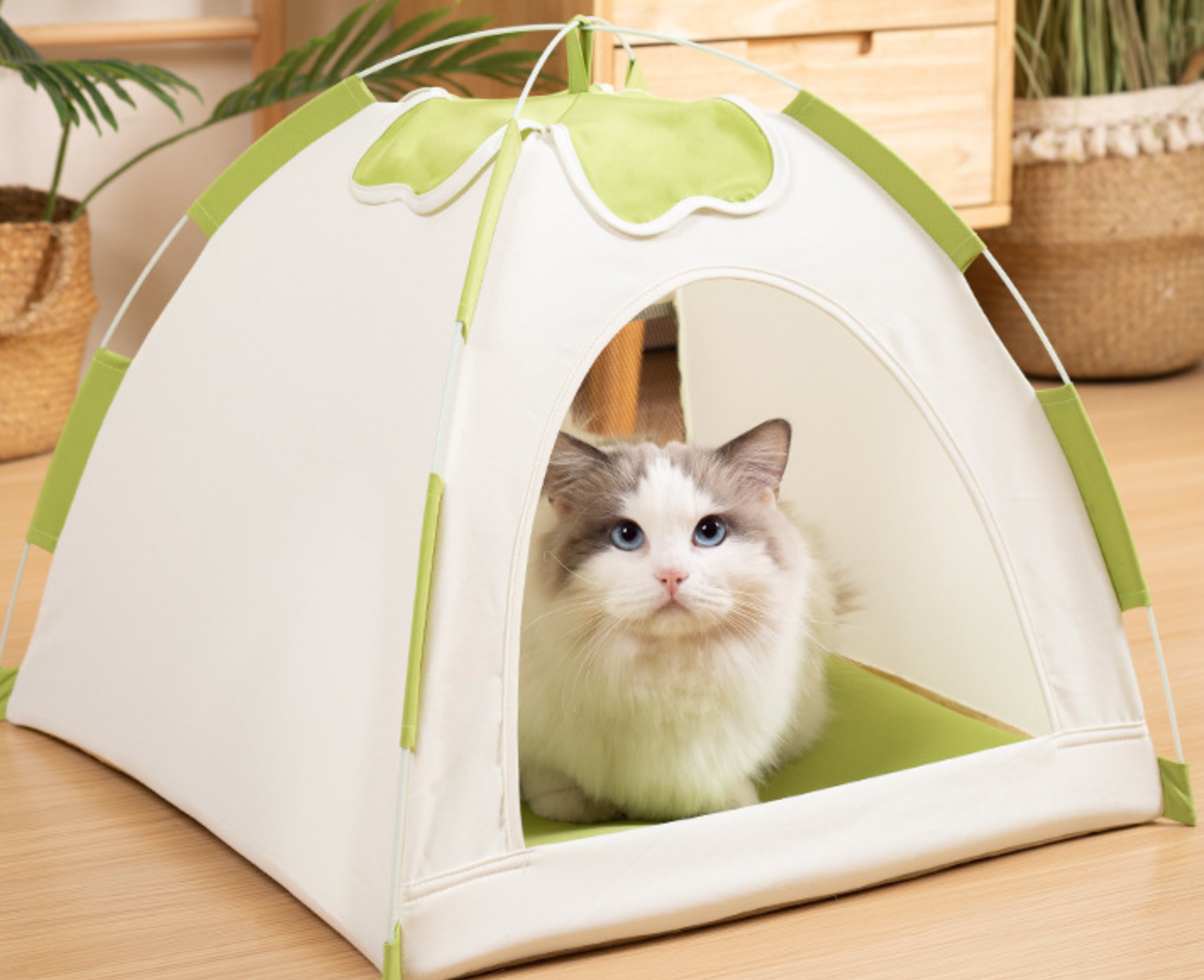 Chenpet Durable High Quality Breathable Cat Tents Pet Tents