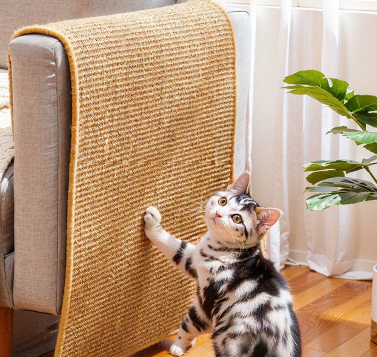 Chenpet Wholesale High Quality Sisal Mats Cat Scratcher Mats