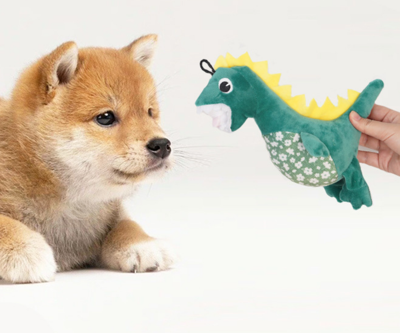 Chenpet Manufacturing New Design Of Dinosaur Plush Dog Chews Toys