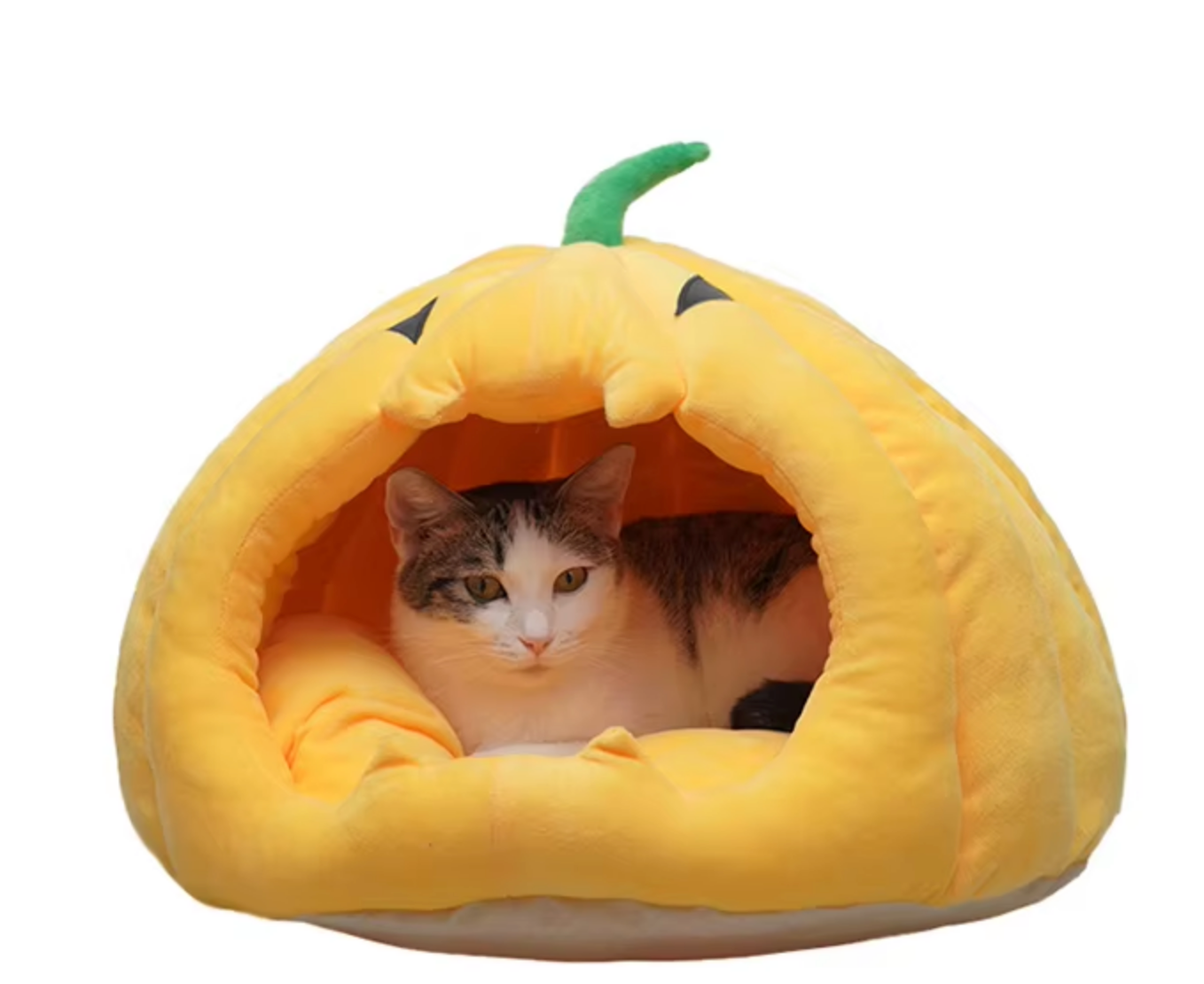 Chenpet Wholesale Custom Halloween Pumpkin Pet Plush Beds