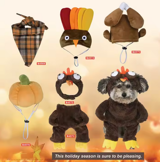 Chenpet Hot Selling Halloween Series Pet Dog Accessories