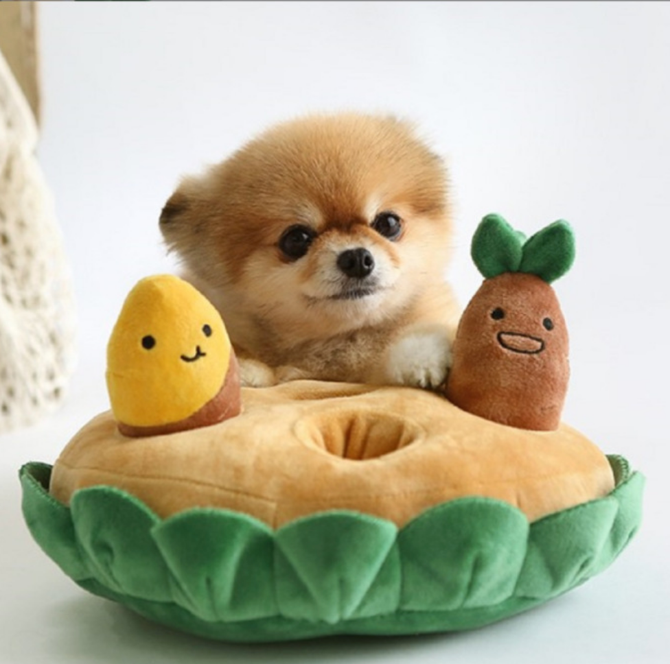 Chenpet Wholesale Plush Dog Puzzle Toys