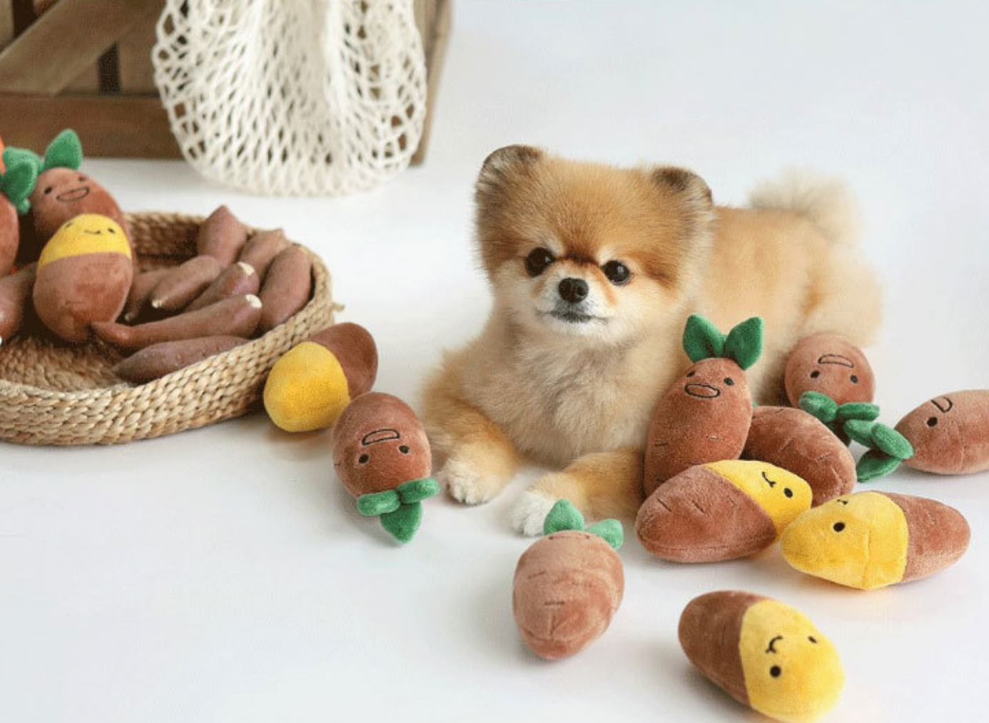 Chenpet Wholesale Plush Dog Puzzle Toys