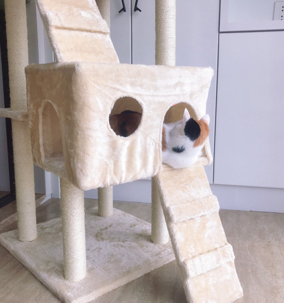 Chenpet Durable Large Cat Climbing Frames Cat Tree