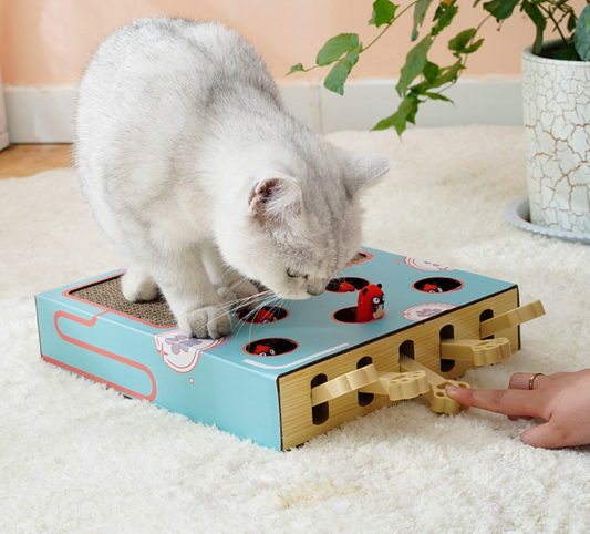 Cat Corrugated Paper Pet Play Toy