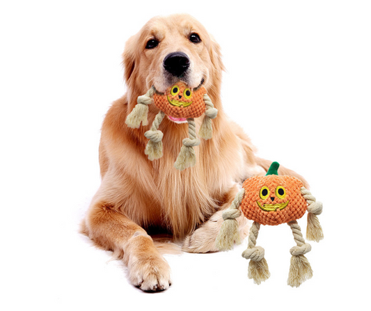 Chenpet Factory Manufacturer Newest Halloween Pet Toys