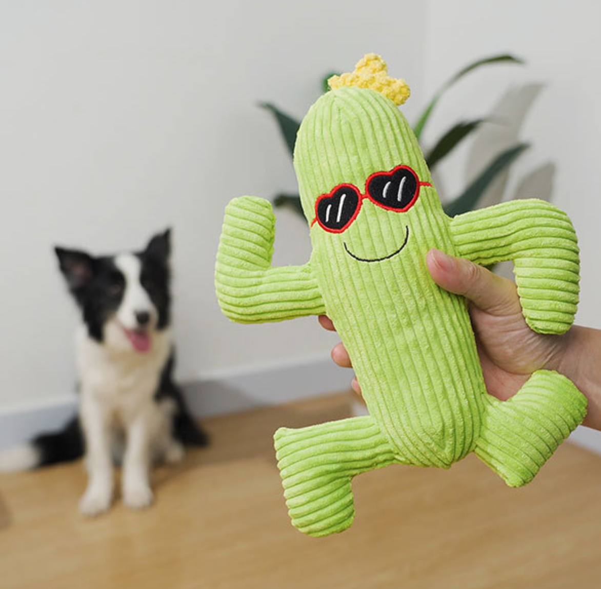 Chenpet Cactus Style Plush Dog Play Pet Toys