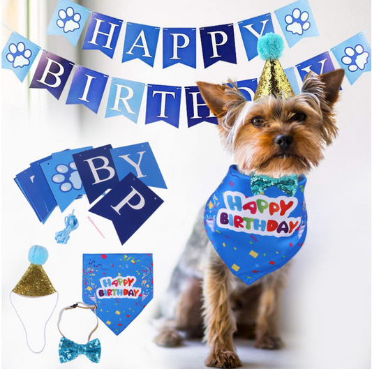 Chenpet Hot Selling Pet Birthday Accessories Pet Toys