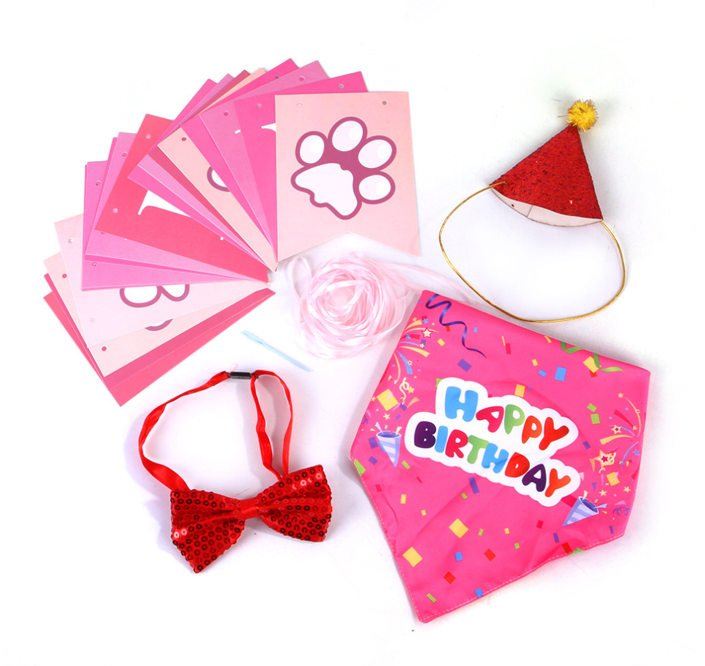 Chenpet Hot Selling Pet Birthday Accessories Pet Toys