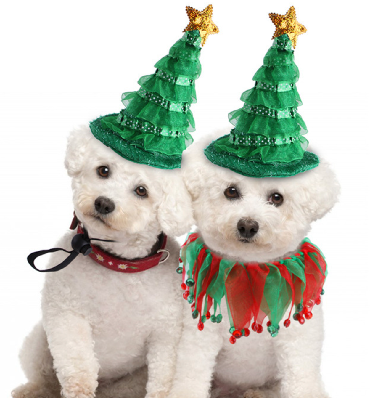 Chenpet Factory Christmas Pet Accessories Pet Hats Dog Hat