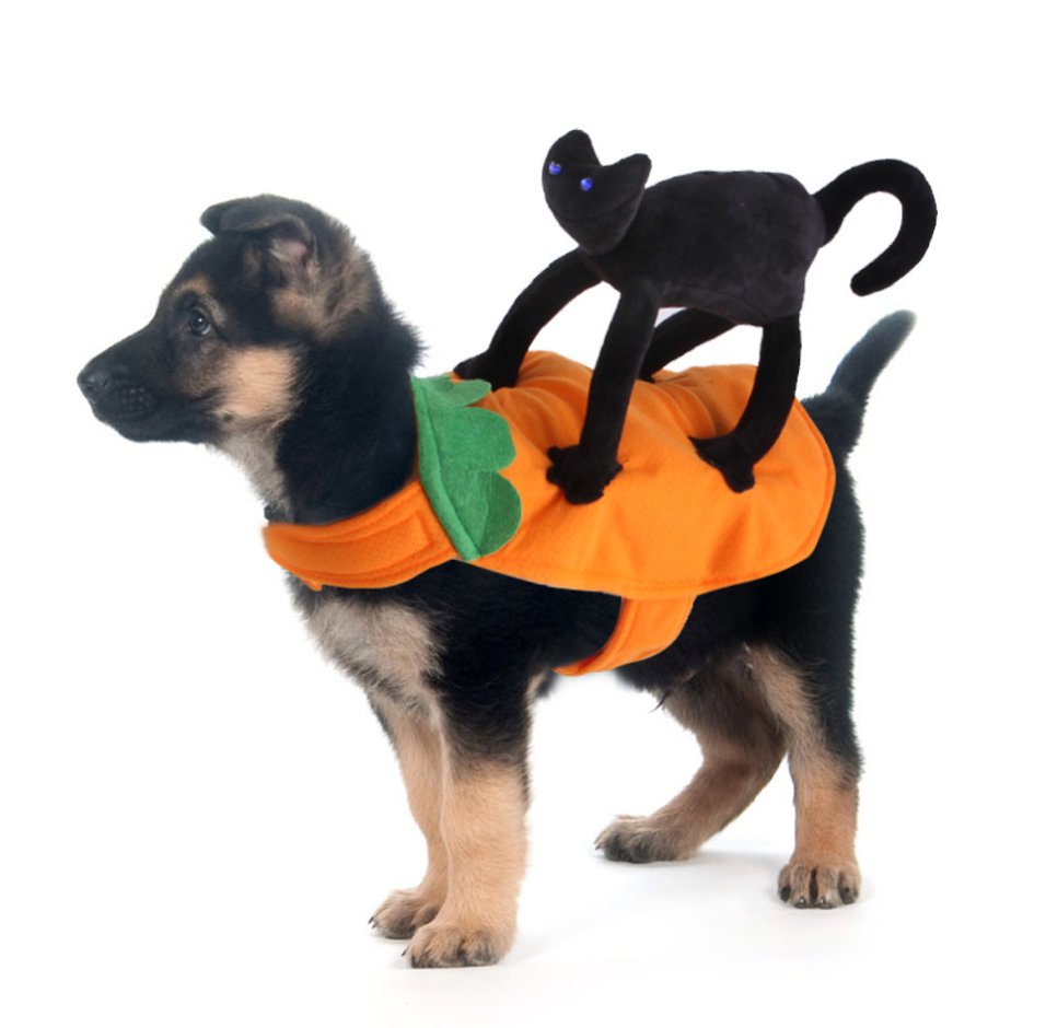 Chenpet Multi Choice-able Pet Halloween Toys