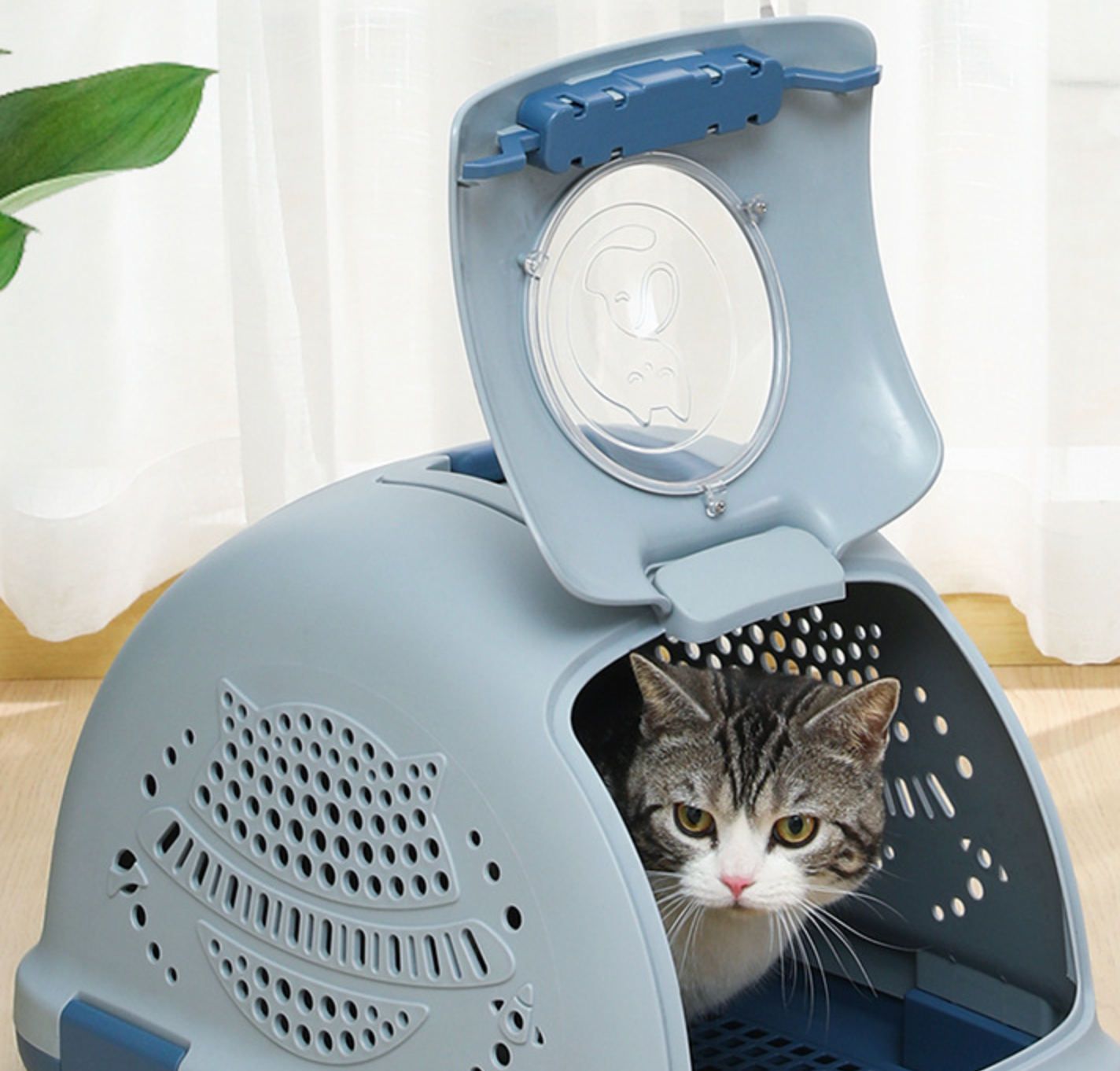 Manufacturer Lovely Pet Carrier Airline Case