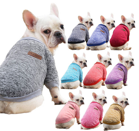 Colorful Multi Choice Autumn &Winter Pet Costumes