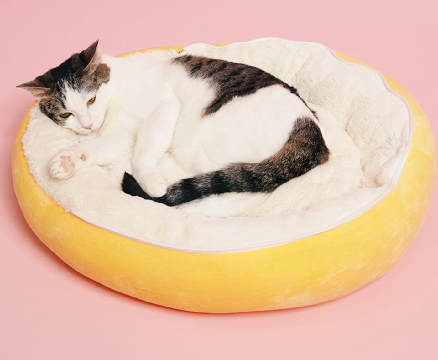 Chenpet Affordable High Quality Pet Cozy Bed Pet Plush Bed