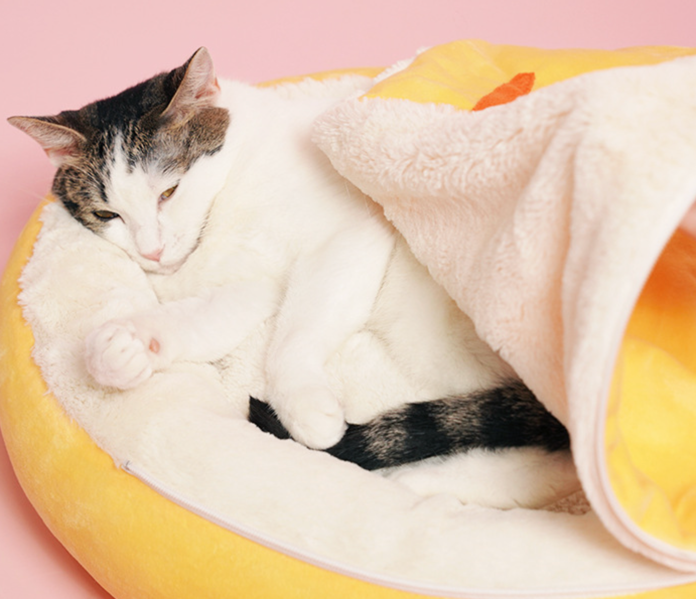 Chenpet Affordable High Quality Pet Cozy Bed Pet Plush Bed