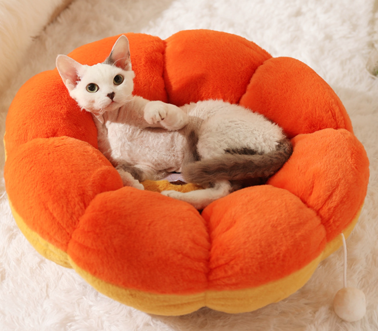 Chenpet Manufacturers  New Flower Style Plush Warm Pet Winter Bed Pet House