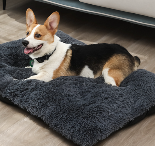 Chen Pet Manufacturers Soft Plush Pet Mat Affordable Pet Bed